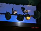img0248.jpg