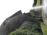img0096.jpg