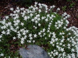 img0097.jpg