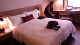 img0017.jpg