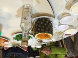 img0047.jpg