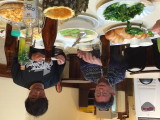 img0051.jpg