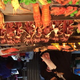 img0065.jpg