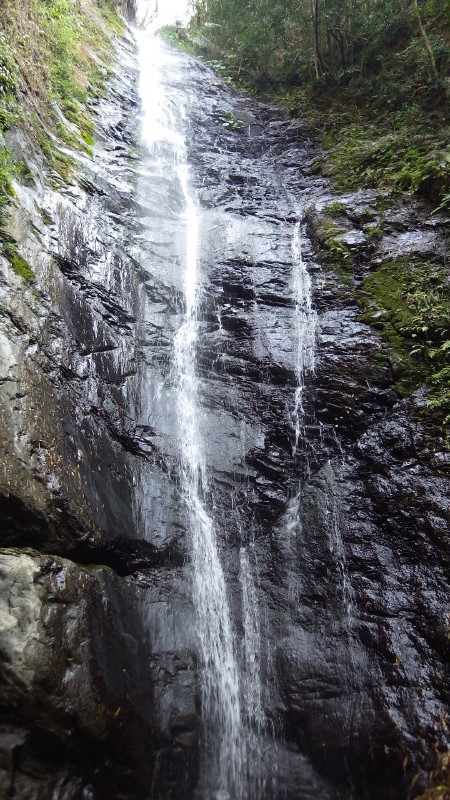 img0041.jpg