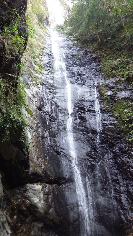 img0047.jpg