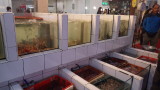 img0005.jpg