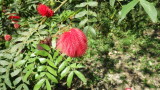 img0036.jpg
