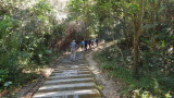 img0037.jpg