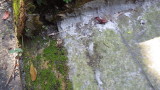 img0038.jpg