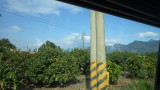 img0060.jpg
