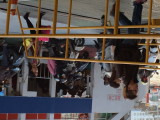 img0073.jpg