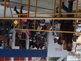 img0074.jpg