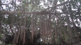 img0118.jpg