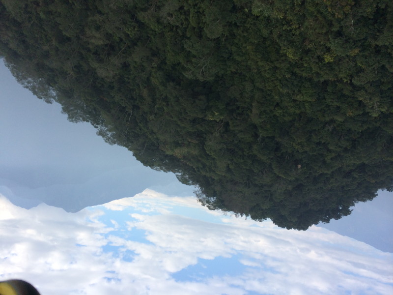 img0013.jpg