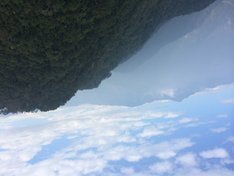 img0014.jpg