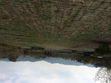 img0061.jpg