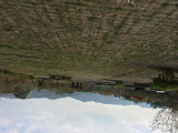 img0062.jpg