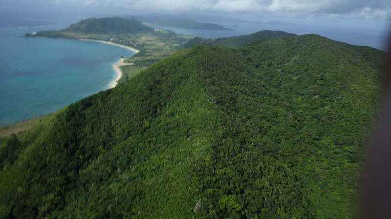 img0117.jpg