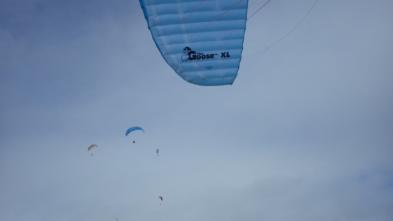 img0118.jpg