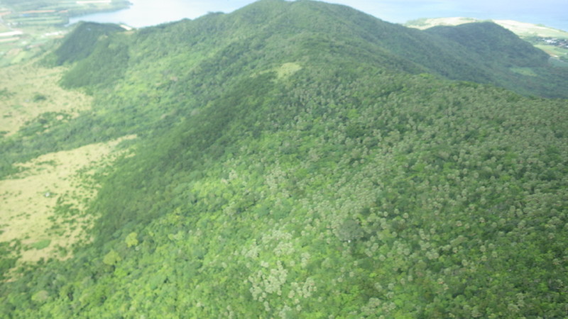 img0122.jpg