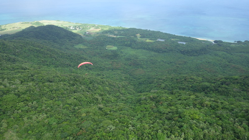 img0124.jpg