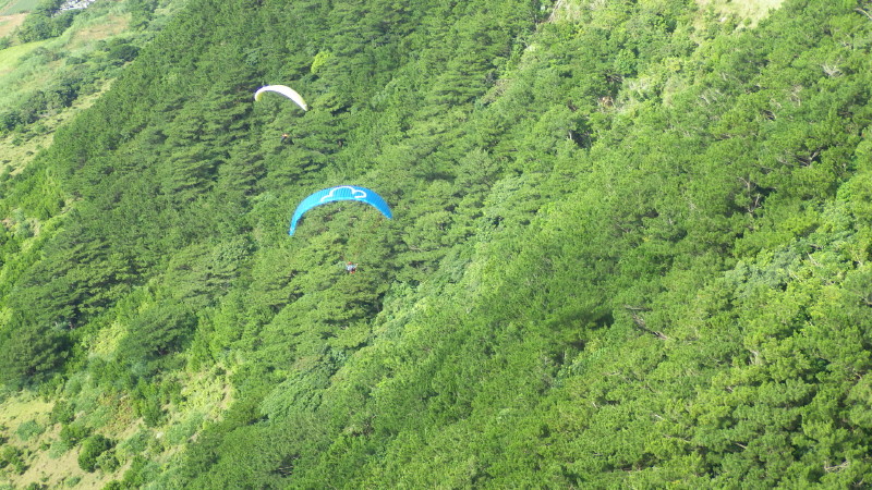 img0150.jpg