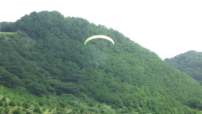 img0188.jpg