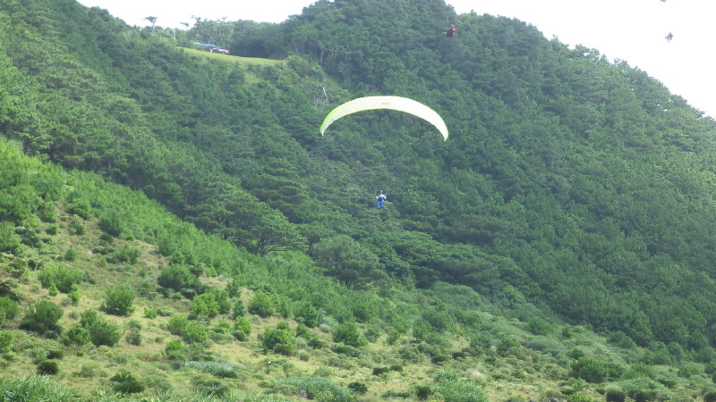 img0190.jpg