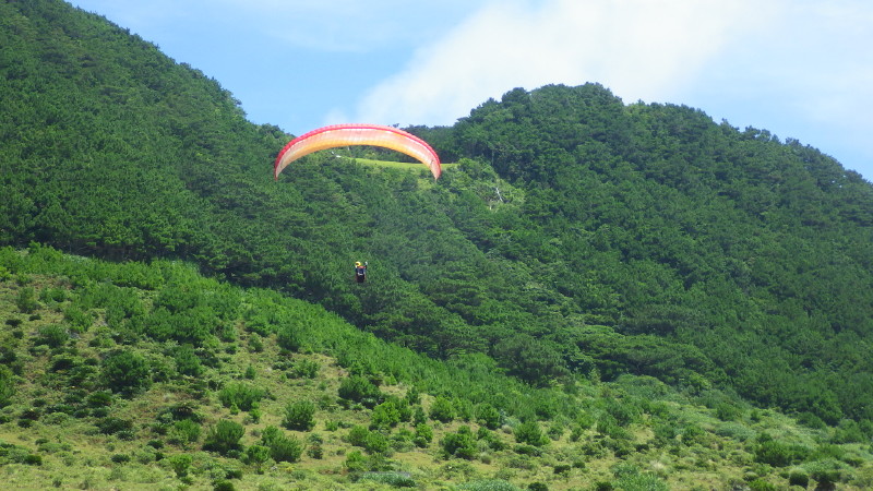 img0206.jpg