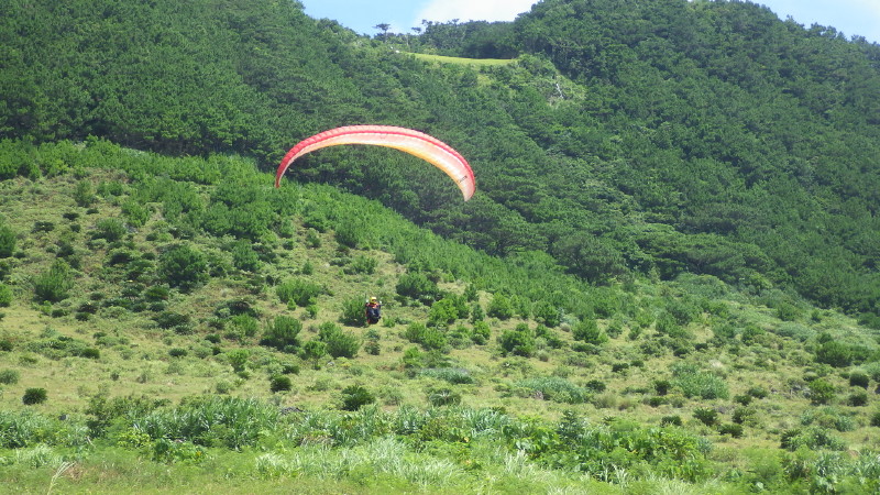 img0207.jpg