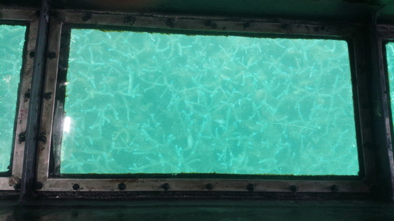 img0223.jpg