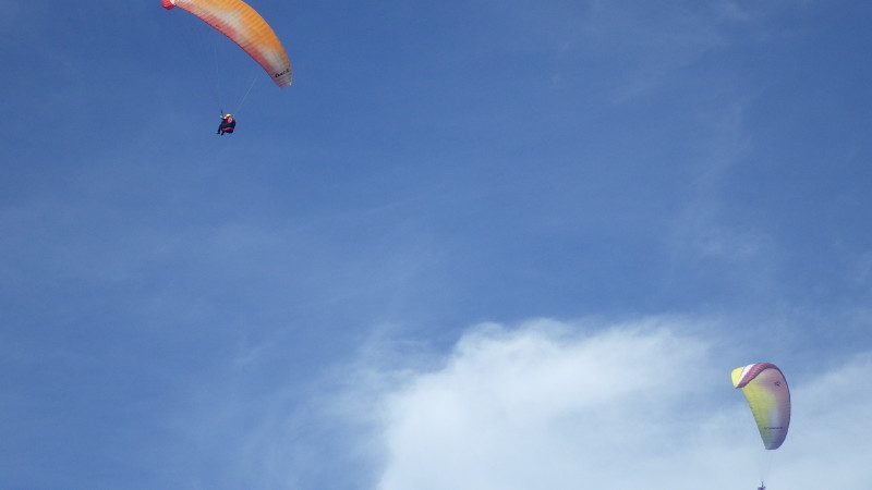 img0243.jpg