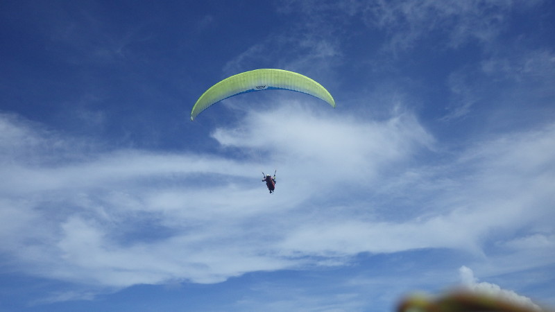 img0268.jpg