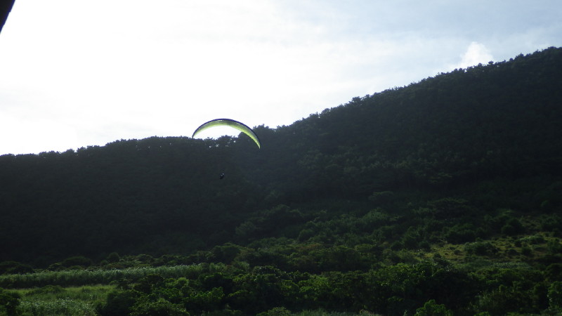 img0282.jpg