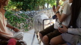 img0050.jpg