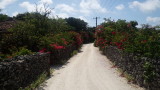 img0051.jpg