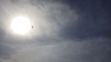 img0104.jpg