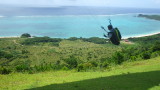 img0182.jpg