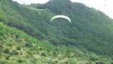 img0190.jpg