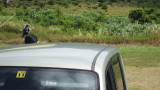 img0197.jpg