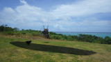 img0214.jpg