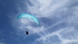 img0313.jpg
