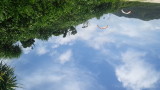 img0315.jpg