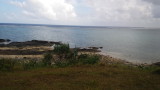 img0316.jpg