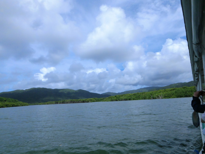 img0118.jpg