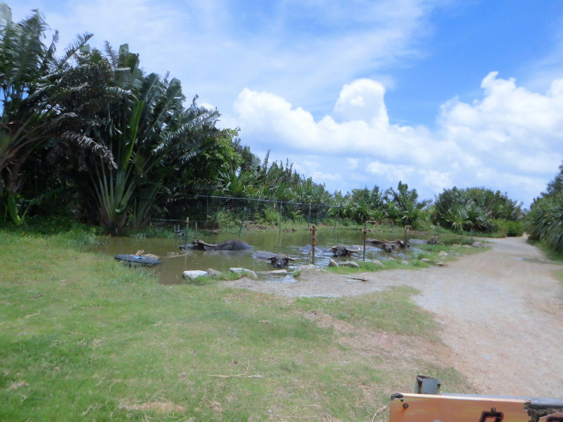 img0138.jpg