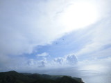 img0071.jpg
