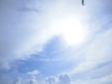 img0073.jpg