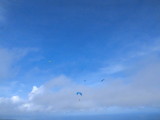 img0075.jpg