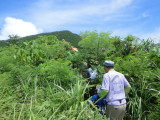 img0084.jpg